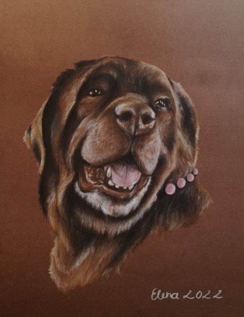 Jay, eine Hündin aus Kasachstan